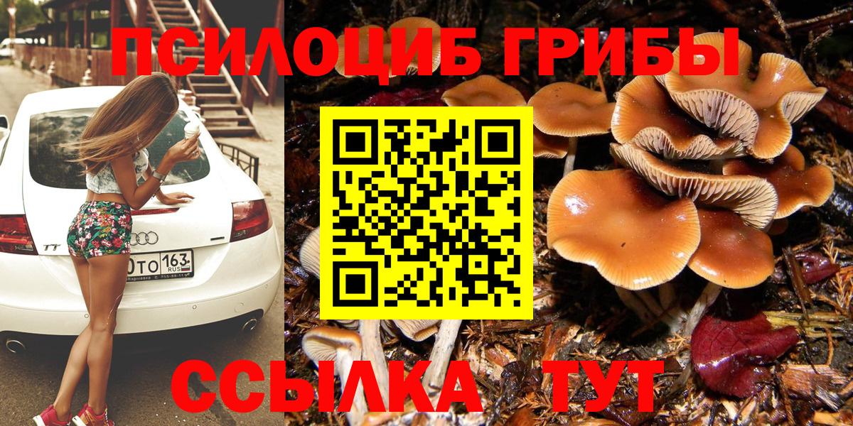 Галлюциногенные грибы Cubensis  Псилоцибиновые грибы MAGIC MUSHROOMS  Вход с VPN  Лениногорск 